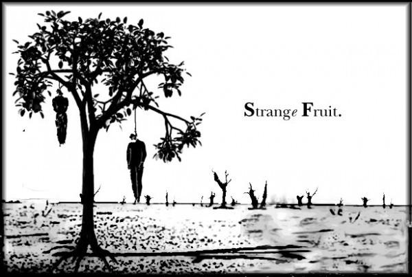 An den Pappelbäumen hängen seltsame Früchte